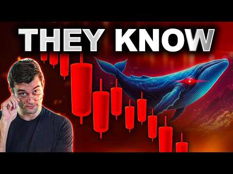 The Crypto Market Is RIGGED!? What You NEED To know!!