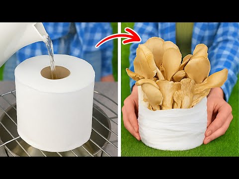 Smart Plant Growing Hacks 🌱💧 Tips Every Inner Gardener Will Love!