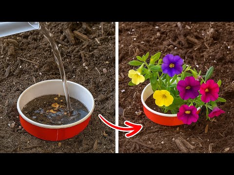 Cool hacks for Growing Plants and Running your Garden