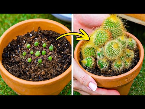 Hacks and Tricks to make your Garden Unbelievable #5MinuteBeat