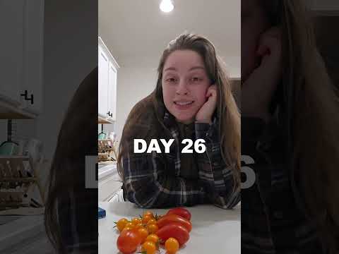Day 26!