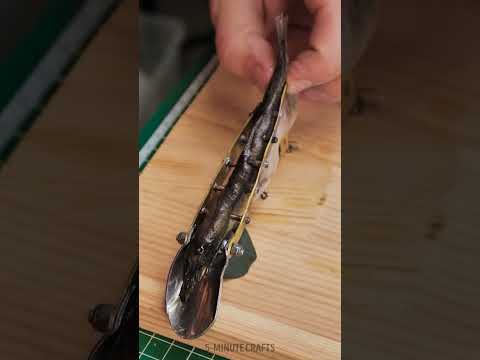 Tricks for experienced anglers 🦐