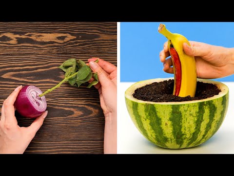 How to Start a Small Home Garden for Fresh Veggies & Herbs All Year!