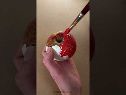 Great Hiding Spots for When Trust Isn’t an Option! #5MinuteBeat