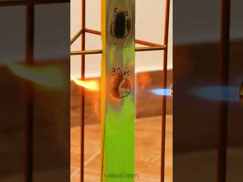 Burner vs. wood, place your bets 🤓🔥