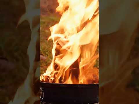 Incredible outdoor stove from tree stump for your gastronomy pleasures 🪵