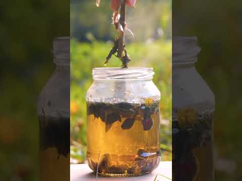 Smart camping!🏕️ Check it out to get ready for the new season 🌲