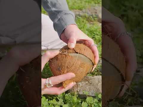 Valuable hacks that this girl used to survive on the island 🥥