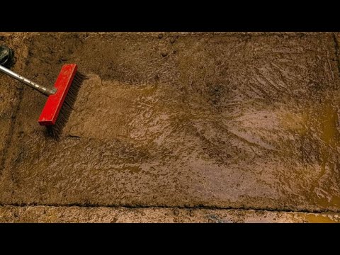 These Carpets Were So Dirty No One Would Touch Them — Until I Came to Help