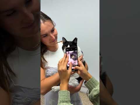 MESS FREE Car Painting 🚘VS DIY Tool for Car VS Headlights upgrade