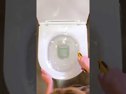Fun Toilet Gadgets You Need to Try 🚽😄