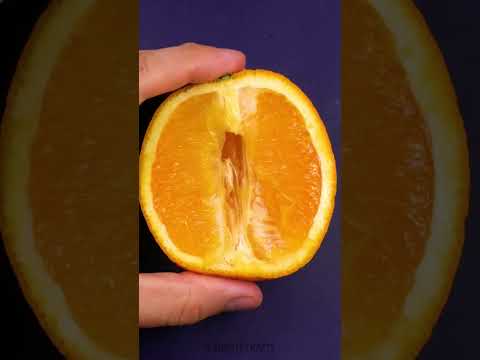 Gardening Season Is Coming! Use These Tricks to Grow Everything 🌱🌸  #gardening #backyard