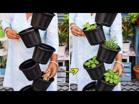 Best Viral Plant Hacks to Grow Anything at Home This Spring