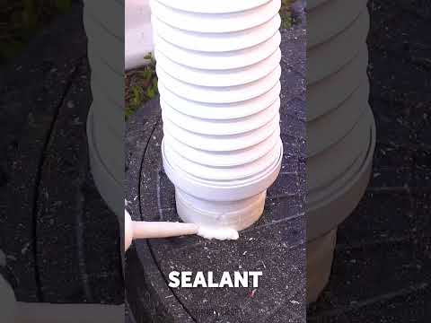 From Hole to Throne 😂