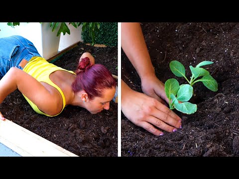 Simple Garden tricks with Good Result and Huge Harvest