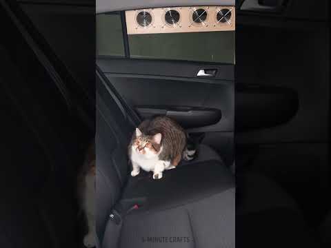 DIY car ventilation system 💨 easy vehicle upgrade