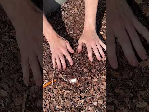 Easy Way to Protect Cord And Decorate Backyard ⚡