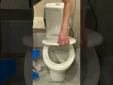 Disposable sanitary pad for public toilets 🚾