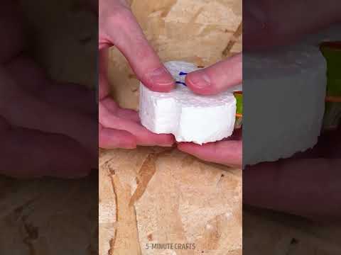 How to propagate orchids for free 🌸 Useful gardening hack for growing plants