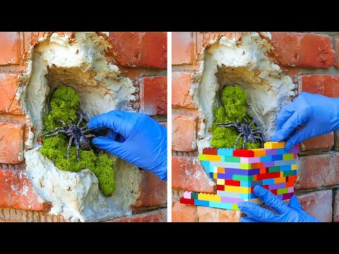 Wall Decor and Restoration ideas for Creative Space