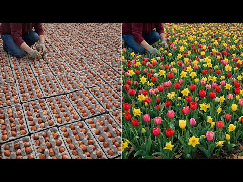 20+ Gardening Tips You Need to Start Planting Right Now 🌱