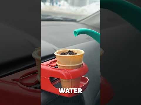 He planted seeds in his car 🌸 now his auto is full of flowers