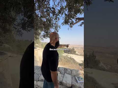 Israeli wall in Palestine 👀 #israel #palestine