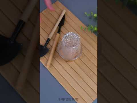 Grow plants in lemon 🌱 easy gardening hack