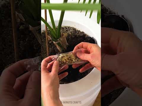 You cannot guess the hidden spot 💍