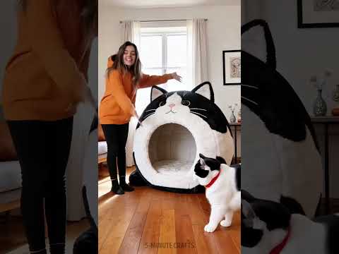 Cute Gift for Beloved Cat! Will he like it? #shorts