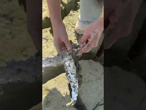 This experiment 🫢 with metal and soil is wild ✨