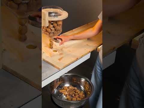 Awesome! 🔥 Engineering a Semi-Automatic Walnut Cracker 🌰