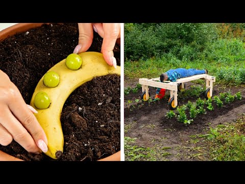 Planting Tips and Gardening Hacks for Beginners 🌱