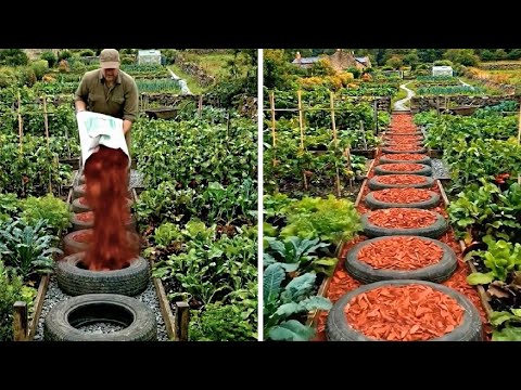 25 Genius Garden Upcycling Projects Using Old Car Tires And Plastic Bottles