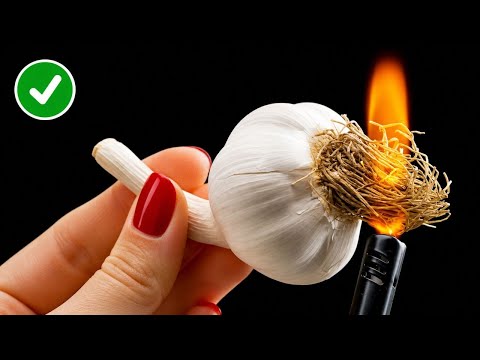 Simple & Useful Kitchen Hacks 🍎🔪 Fruit and Vegetable Peeling Tips