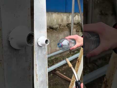 No Tools Needed! Safe Broken Bulb Removal with This Simple Method 🔥🔧