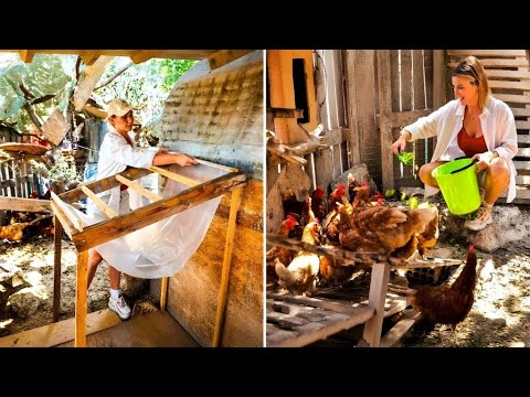 Mini Home Farm ideas. Chicken coops, Feeders, Shelters