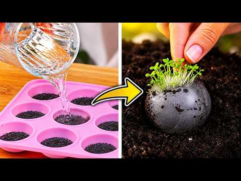 🌱 Viral Hacks Every Modern Gardener Should Try!