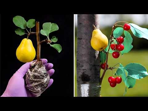 Cute Planting Hacks That Will Amaze You