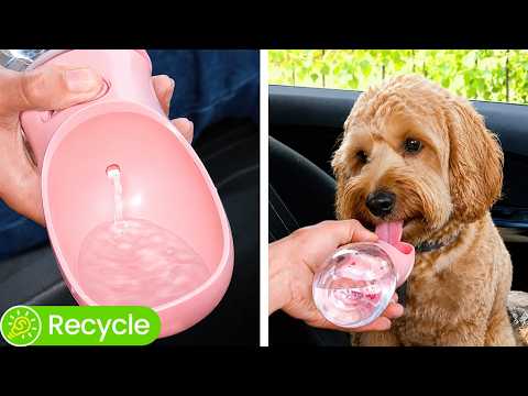 Cool Dog Gadgets VS Sweet Cat Gadgets. Genius Pet ideas to make your Life easier