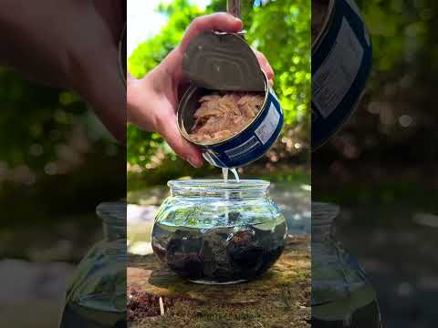 2 Simple camping ideas for wonderful hours 🕯️🏕️