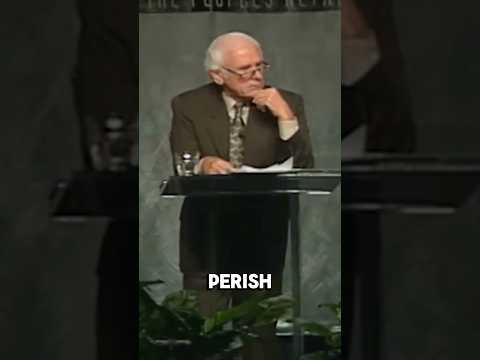 Vision Without Action Is Nothing | Jim Rohn