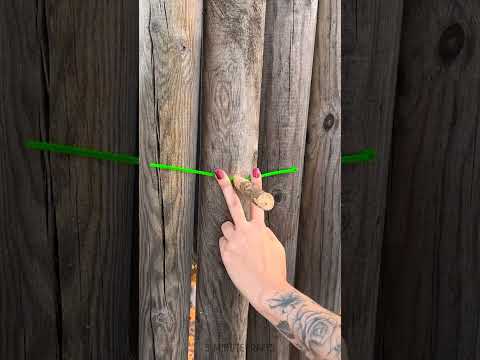 Smart Zip Ties hacks 🔓