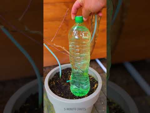 3 Recycling projects to save your money 💸💥