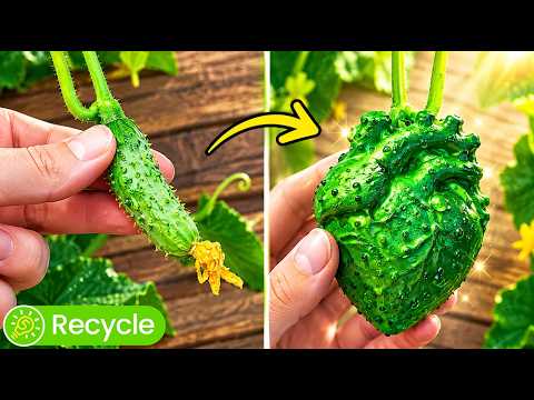 Nice and Helpful Plant tricks to Grow your Mini and Huge Garden