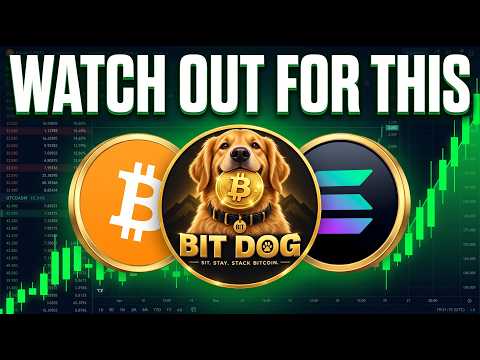 THIS NEW MEMECOIN JUST LAUNCHED! This Could Go BIG! BITDOG! BTC REWARDS!