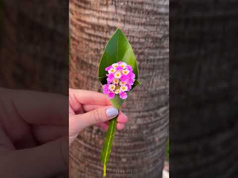 A Little Leaf Bouquet That’s Too Cute! 🍃💐 Mini flower ideas