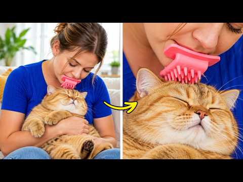 🐶 Dog or Cat? We Tested the Coolest Pet Gadgets!