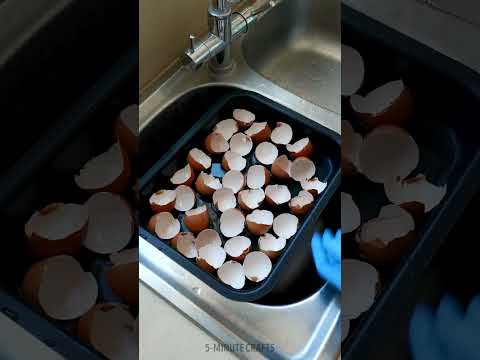 Turn Eggshells into Useful thing again 🍅🥚