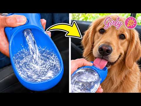 🐶 Dog Gadgets VS Cat Gadgets 🐱 Which Are Better? ⭐